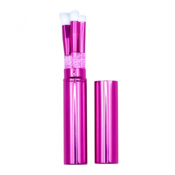 Hot-selling MINI 5-piece portable makeup brush set with Barrel packaging