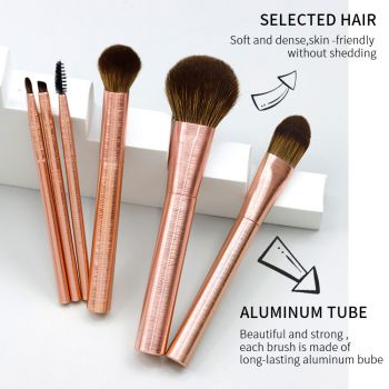 A set of 6 pcs brushed aluminum tube handle makeup brushes