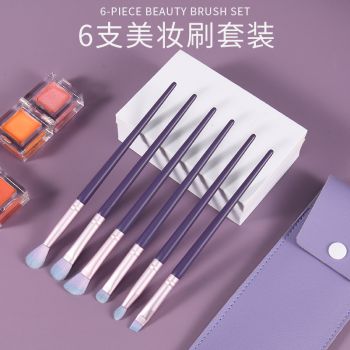Standard style of eyes shadow brush of 6 pieces makeup brush set with package