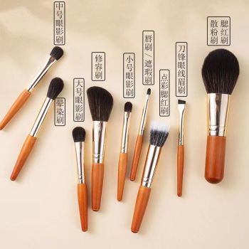 Professional Mini Travel makeup brush set of wooden handle with Luxury pakage